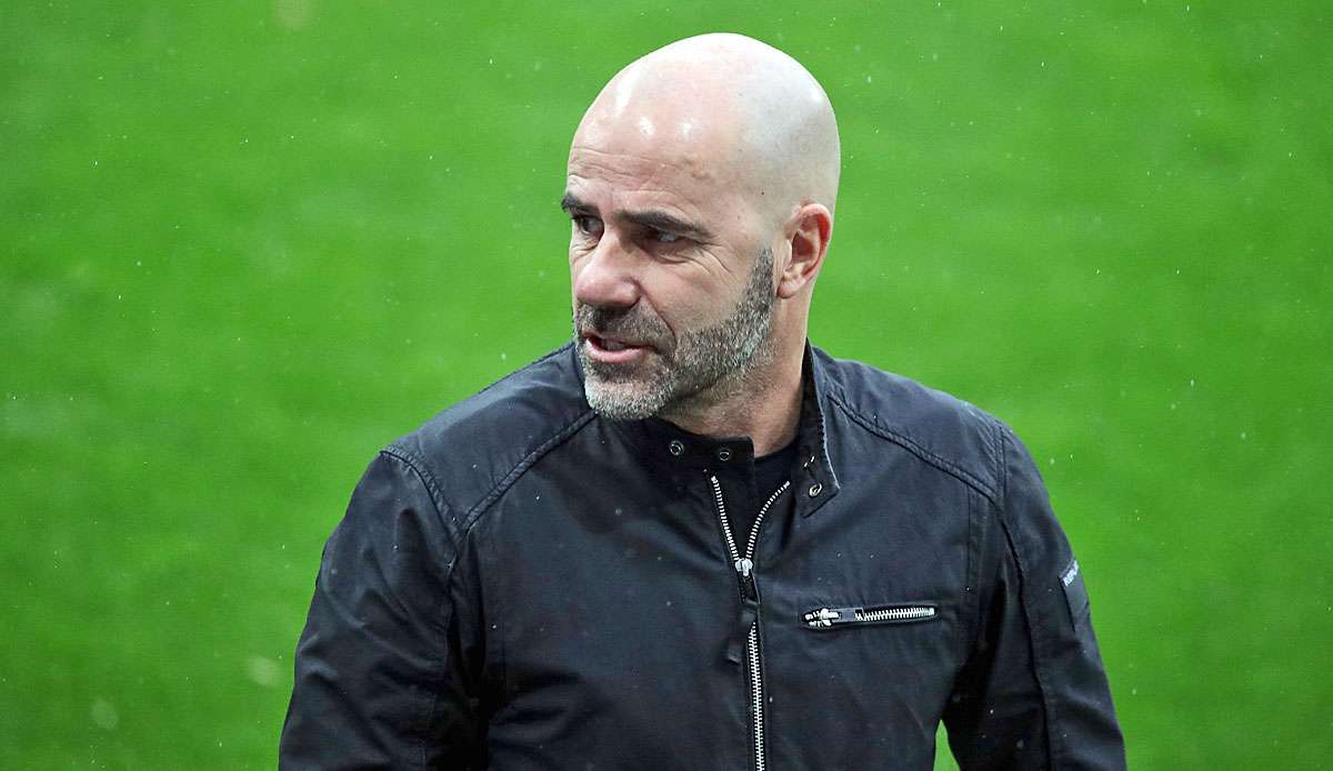 Peter Bosz stört das "Vizekusen"-Etikett.