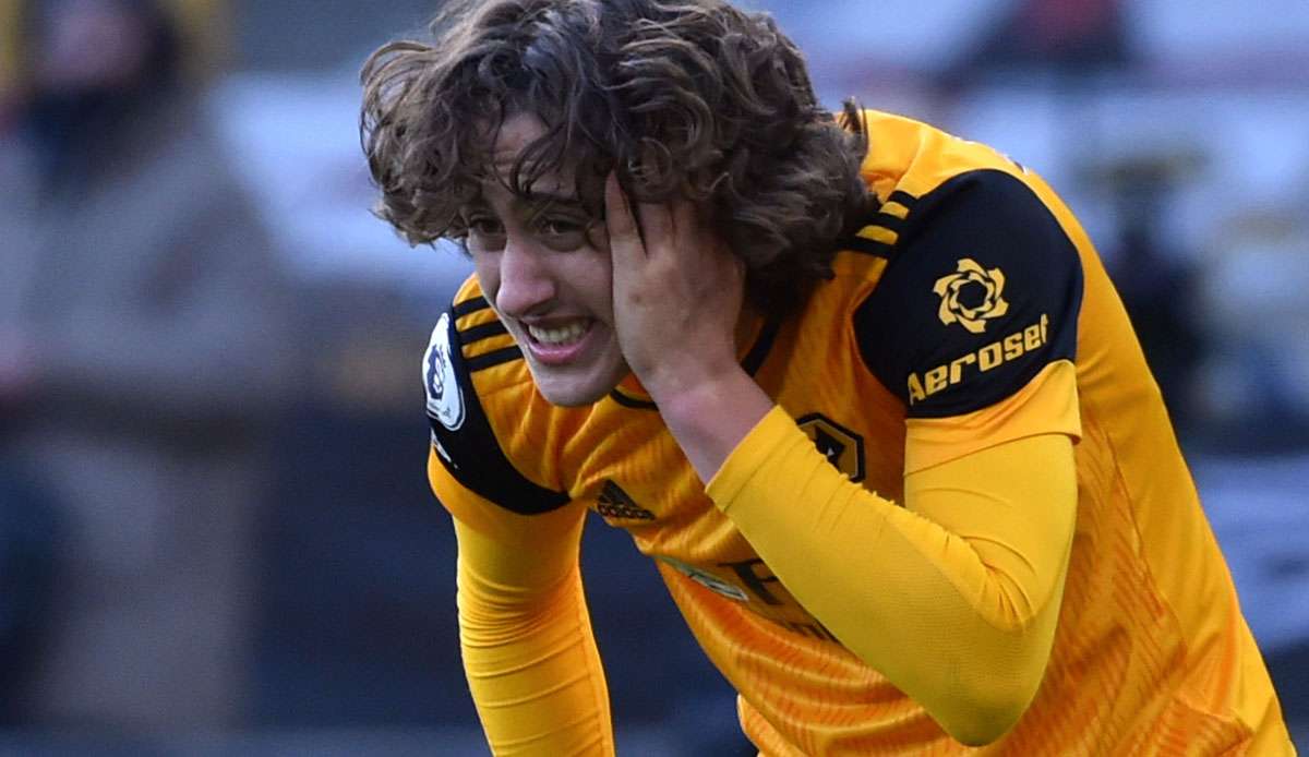 Fabio Silva wechselte im Sommer für 40 Millionen Euro vom FC Porto zu den Wolverhampton Wanderers.