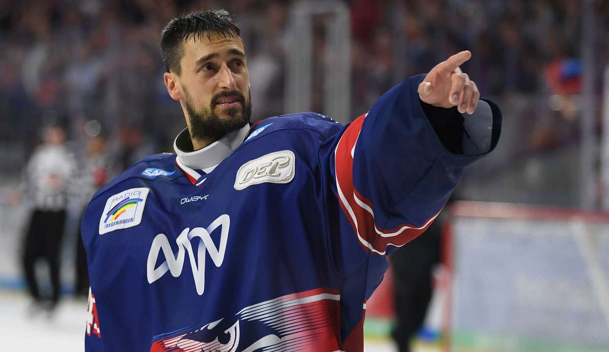 Die Adler Mannheim führen die Tabelle der Gruppe Süd an - im Bild: Torhüter Dennis Endras.