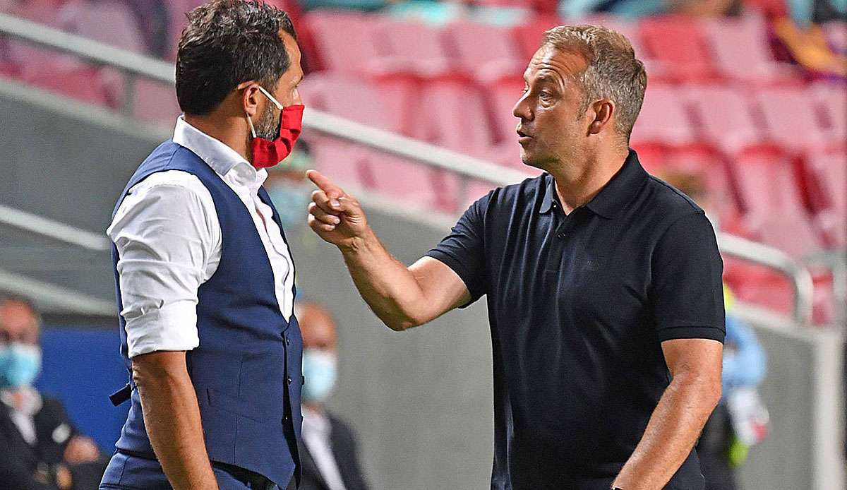Hasan Salihamidzic und Hansi Flick gerieten bereits mehrmals aneinander.