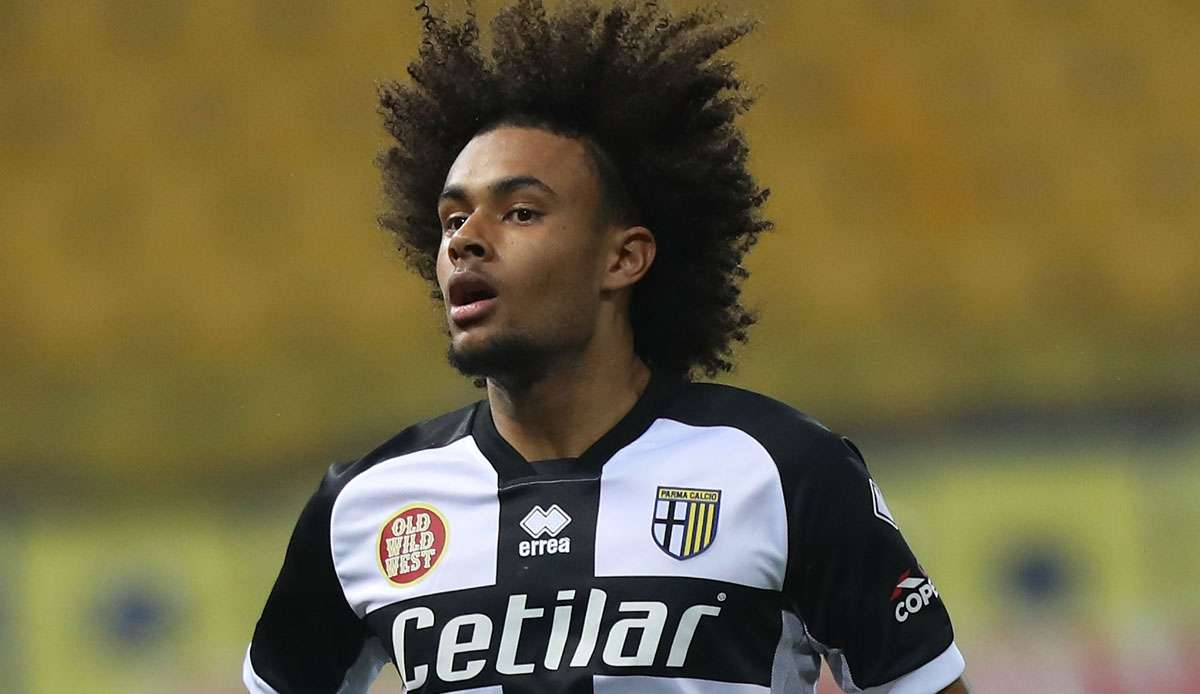 Joshua Zirkzee, derzeit vom FC Bayern München an Parma Calcio verliehen, droht eine Operation. Der 19-jährige Stürmer leidet an einer Außenband-Verletzung im Knie.