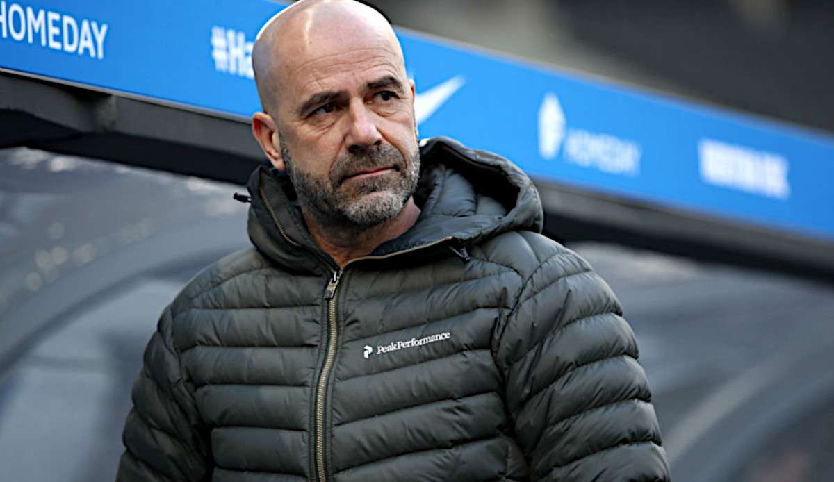 Peter Bosz hat rund zwei Monate nach seiner Entlassung als Trainer von Bayer Leverkusen einen neuen Job gefunden.