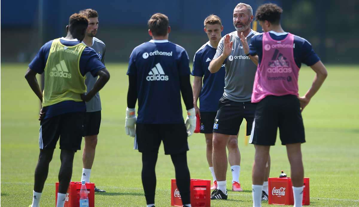 Der HSV will endlich wieder in die Bundesliga.