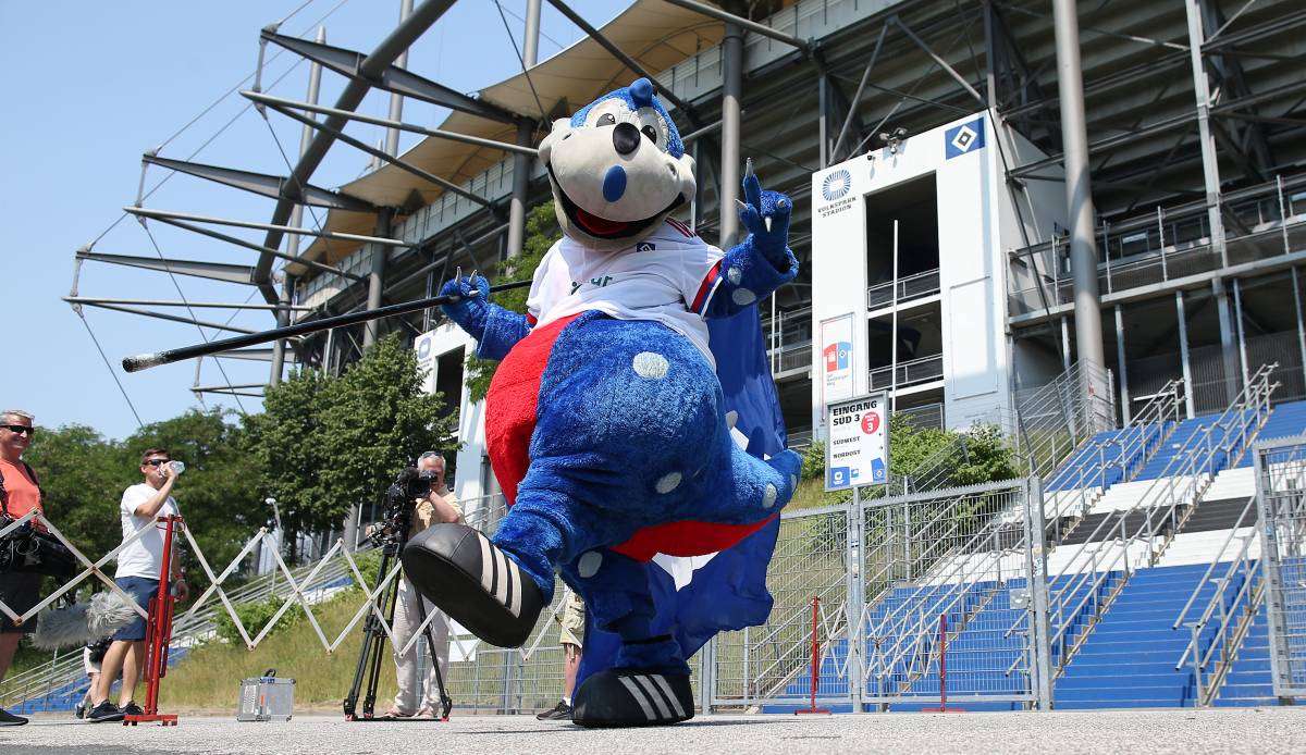 Der Hamburger SV ist weiterhin auf der Suche nach einem Stürmer.