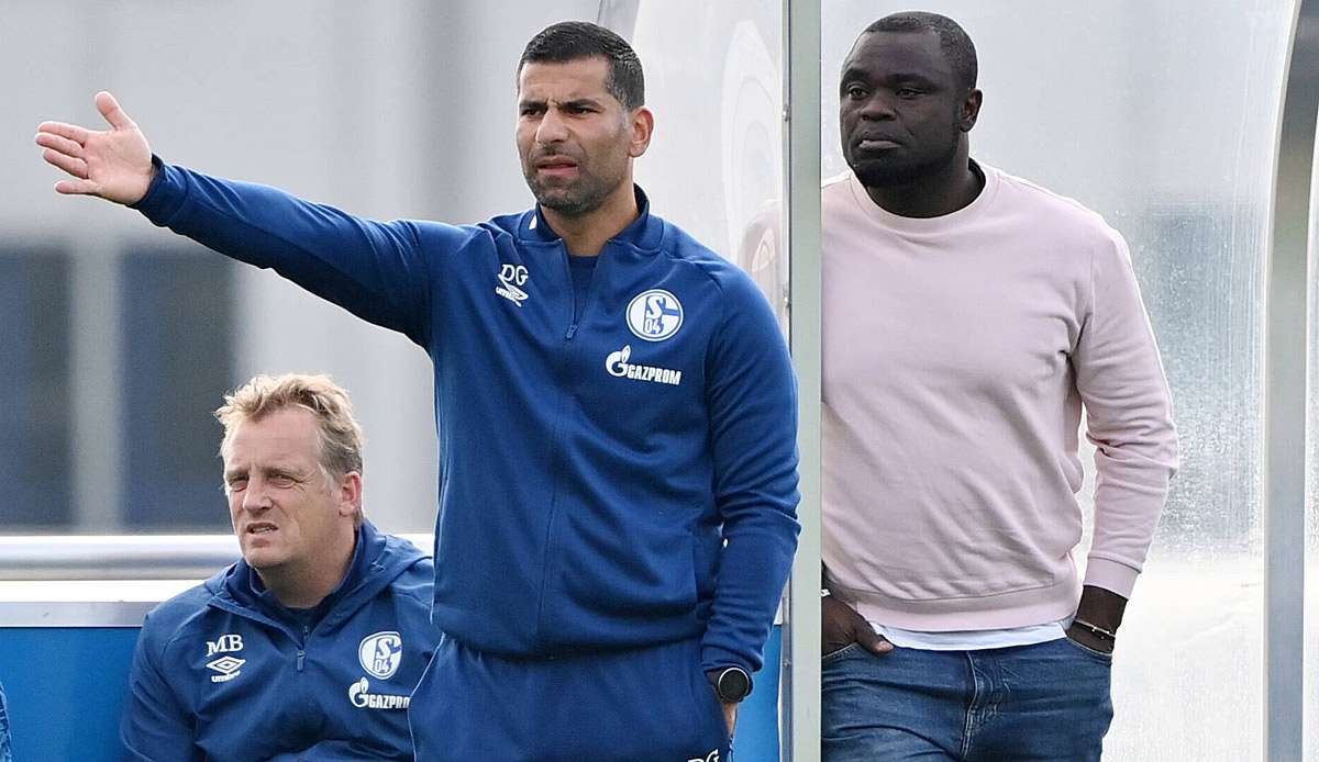 Dimitrios Grammozis peilt mit Schalke die Rückkehr in die Bundesliga an.