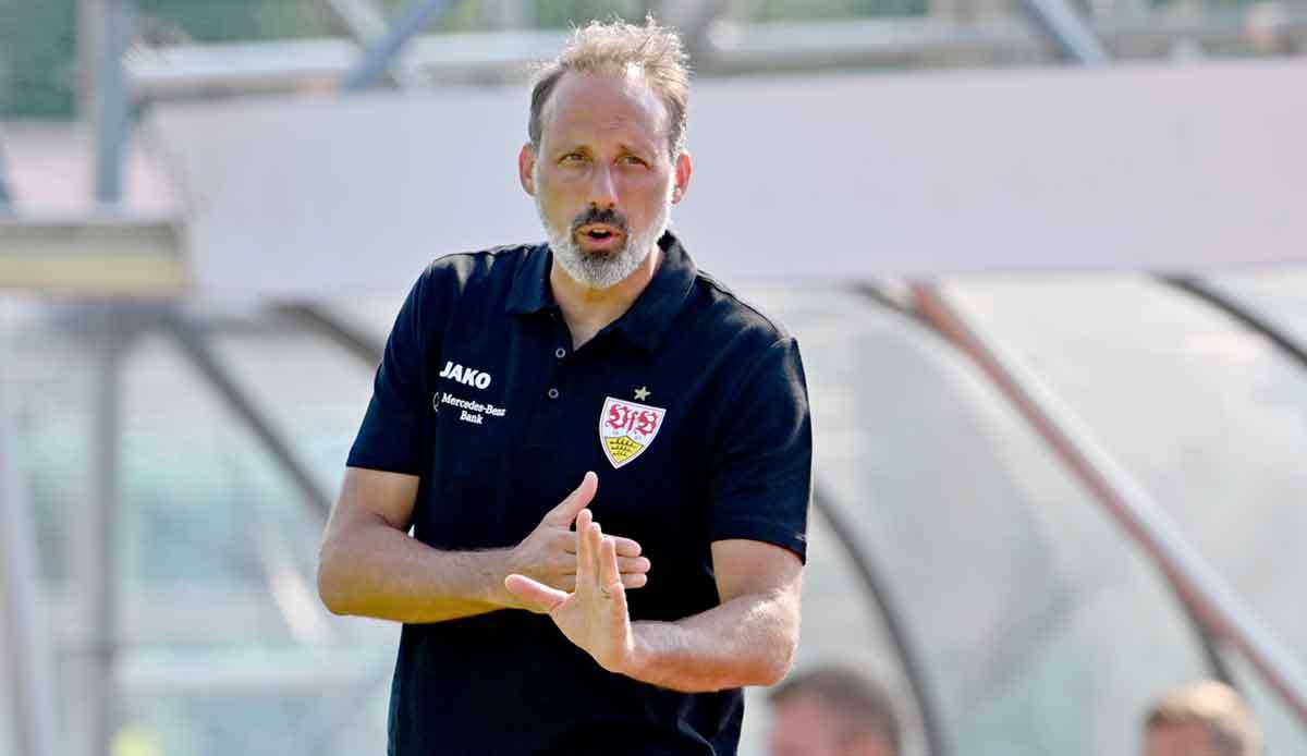 Pellegrino Matarazzo muss sich selbst bei einem möglichen Abstieg mit dem VfB Stuttgart keine Sorgen um seinen Job machen.