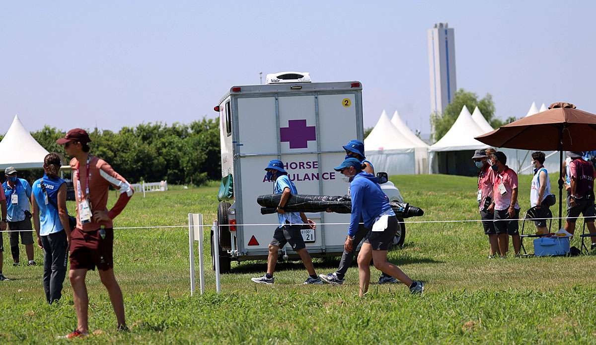 Ein Krankenwagen brachte das Pferd weg.