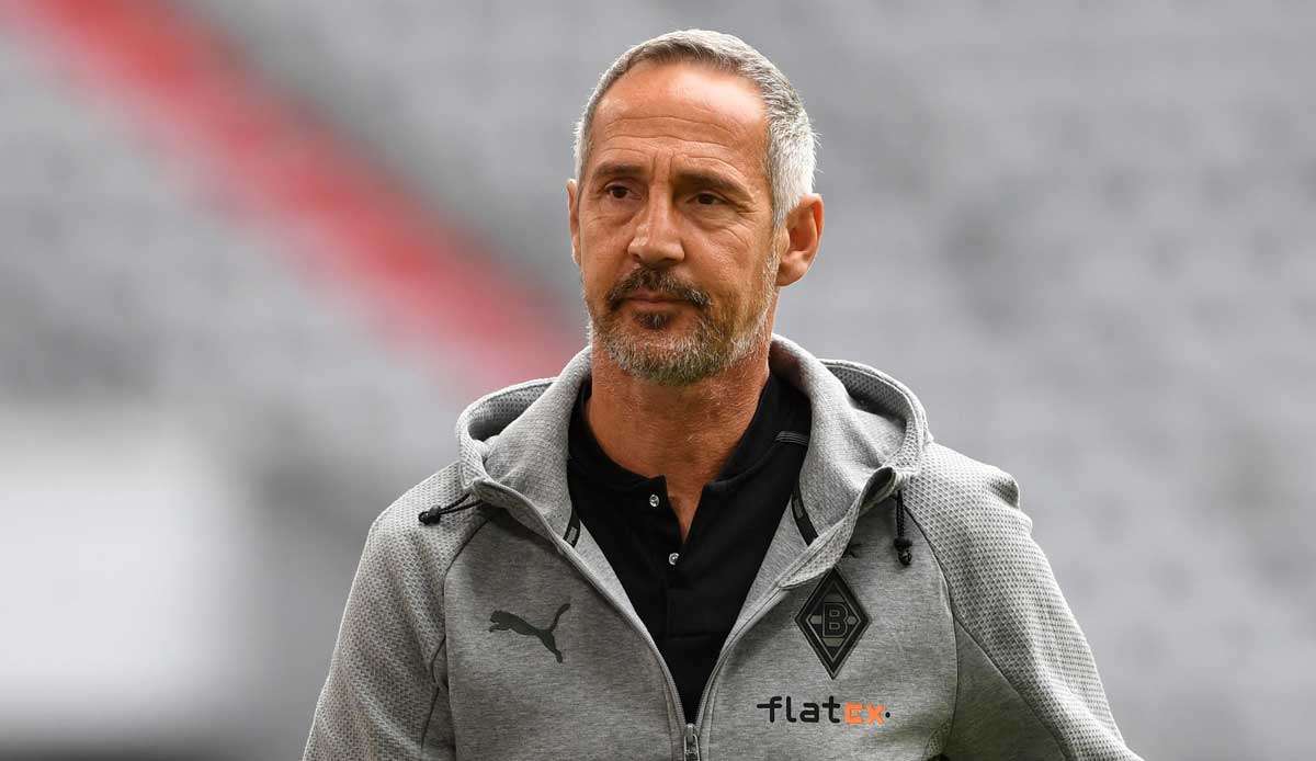 Adi Hütter feiert heute sein Pflichtspieldebüt als Gladbach-Trainer.