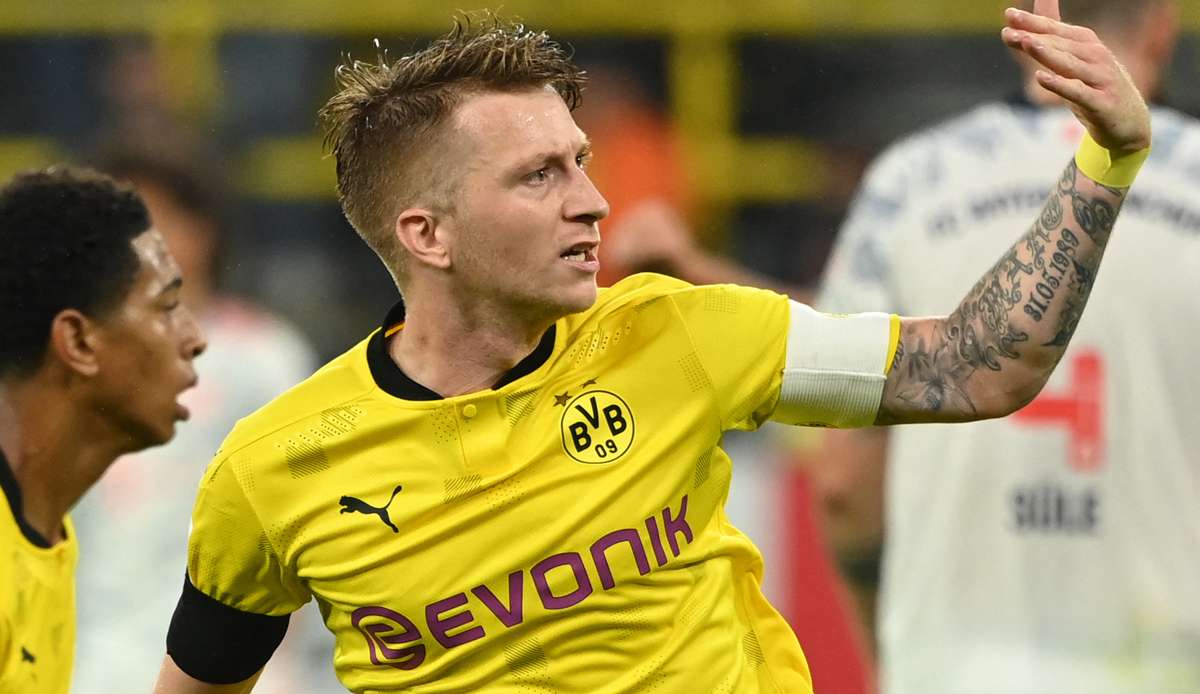 Stefan Effenberg hat BVB-Kapitän Marco Reus geraten, in Zukunft auf Einsätze für die deutsche Nationalmannschaft zu verzichten.