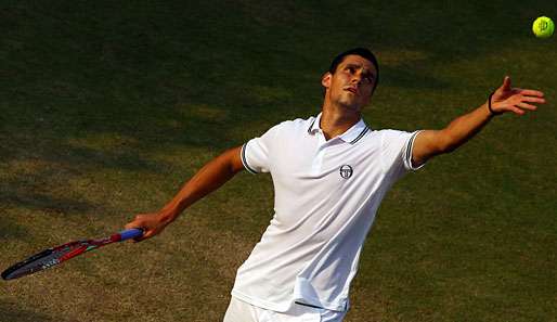 Victor Hanescu belegt aktuell Rang 36 der Weltrangliste