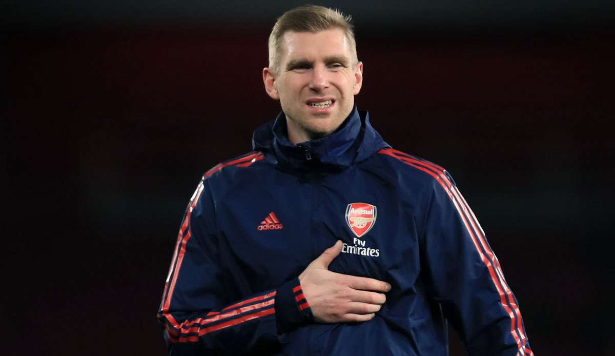 Ohne Erfahrung übernahm Per Mertesacker nach seinem Karriereende Arsenals Nachwuchs. Der Ex-Nationalspieler baut die Akademie Hale End konsequent um.