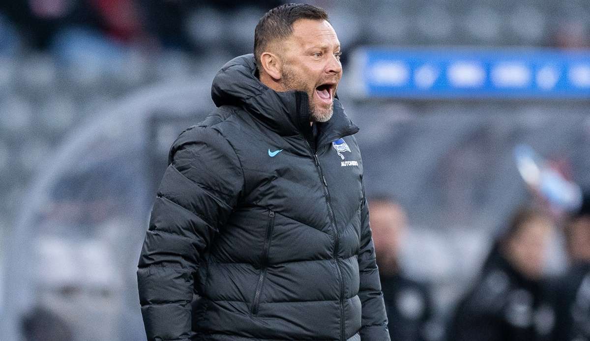 Pal Dardais zweite Amtszeit bei Hertha BSC dauerte etwa zehn Monate.