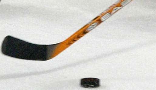 Rob Niedermayer wechselt von New Jersey zu den Buffalo Sabres