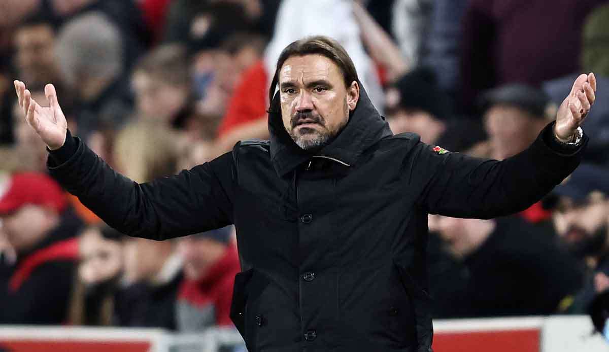 Trainer Daniel Farke steht möglicherweise vor einem Engagement beim türkischen Fußball-Meister Besiktas Istanbul.