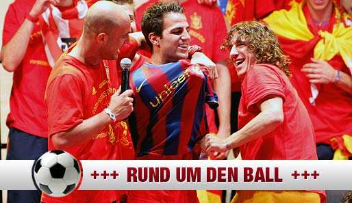 Cesc Fabregas spielt seit 2003 für den FC Arsenal