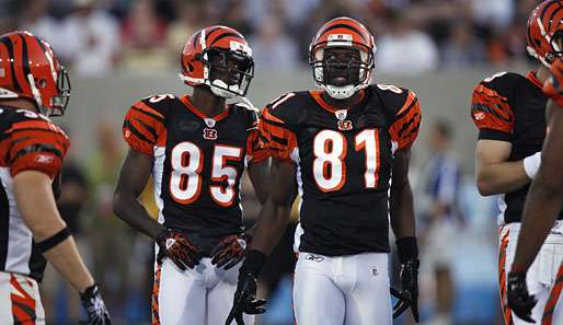 Chad Ochocinco und Terrell Owens sollen das neue Traumduo der Bengals werden