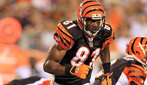 Terrell Owens soll bei den Bengals mit Chad Ochocinco das neue Receiver-Traumduo bilden