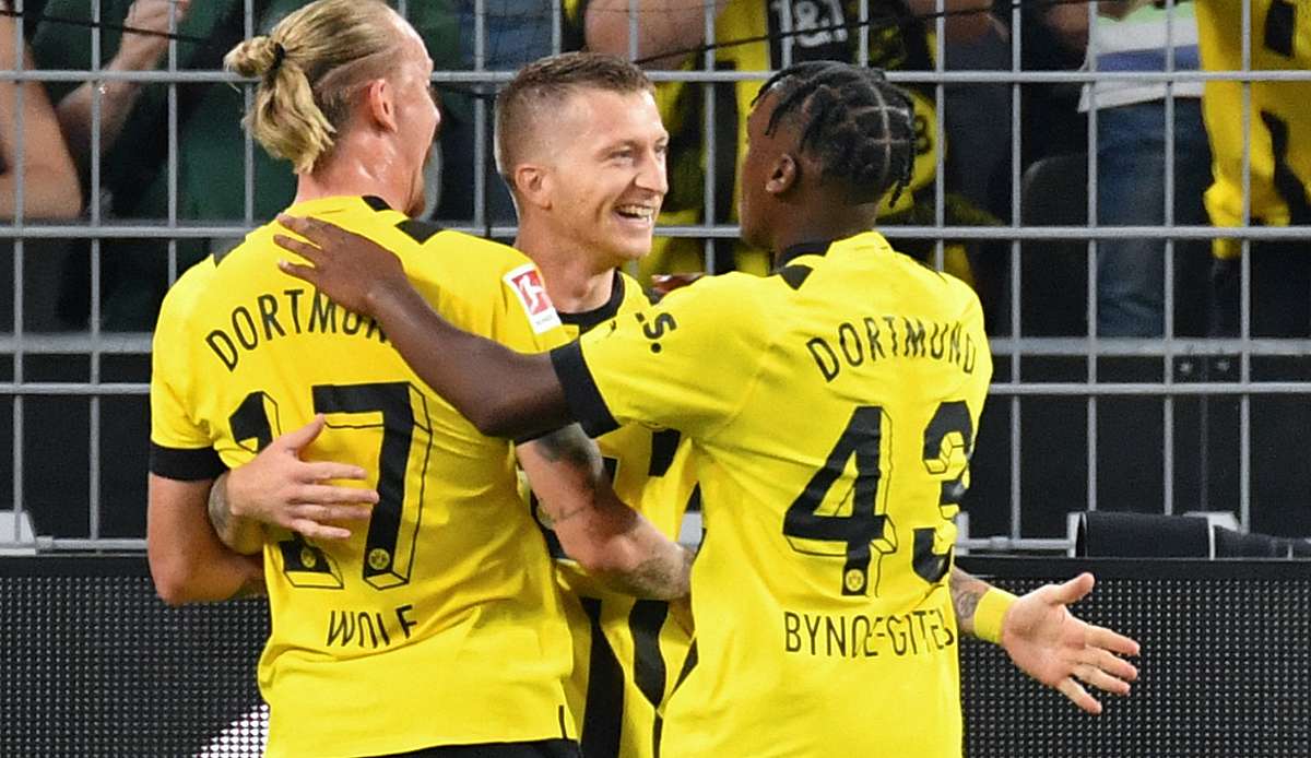 Marco Reus brachte den BVB gegen die TSG Hoffenheim in Führung.