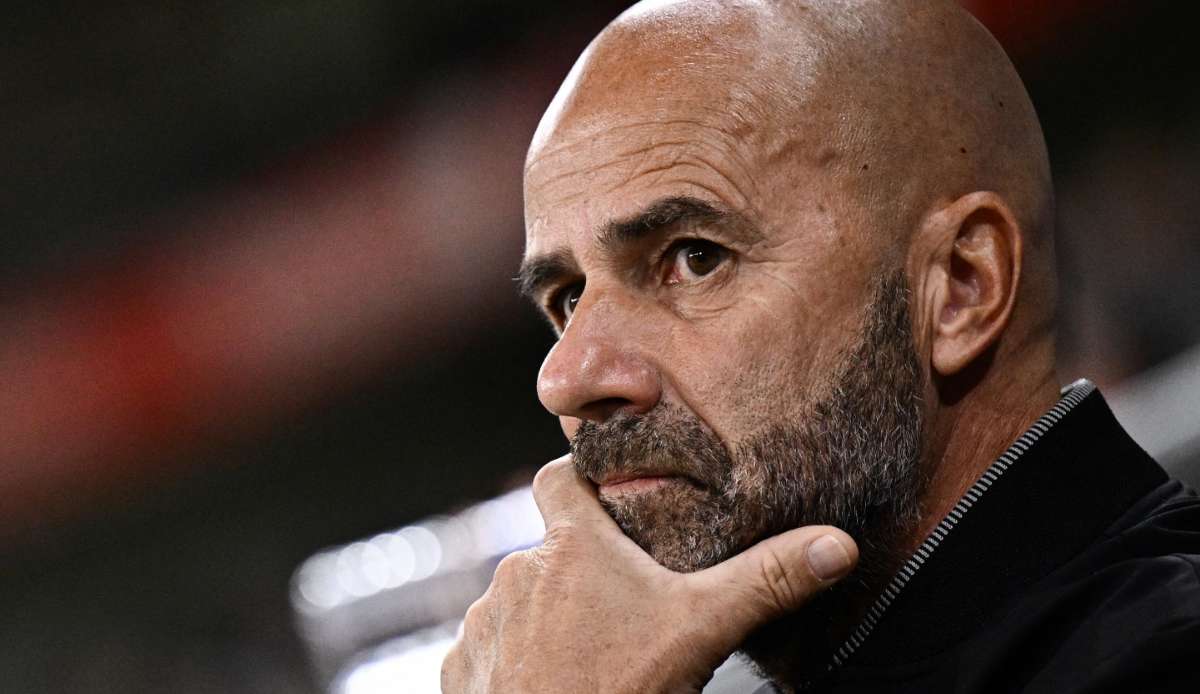 Peter Bosz, Olympique Lyon