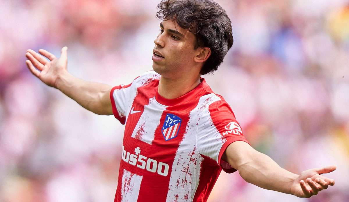 JOÃO FÉLIX: Der FC Bayern ist im Sommer angeblich mit einer 100-Millionen-Euro-Offerte bei Atlético Madrid abgeblitzt. Das berichtet die Marca. Die Rojiblancos hoffen weiter auf eine Entwicklung des einstigen 127-Millionen-Euro-Neuzugangs.