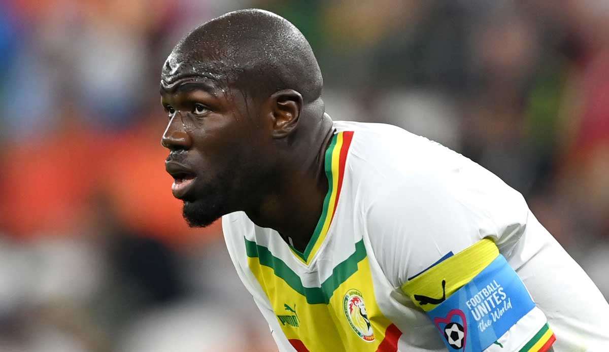 Der Senegal musste sich im Auftaktspiel den Niederländern mit 0:2 geschlagen geben.