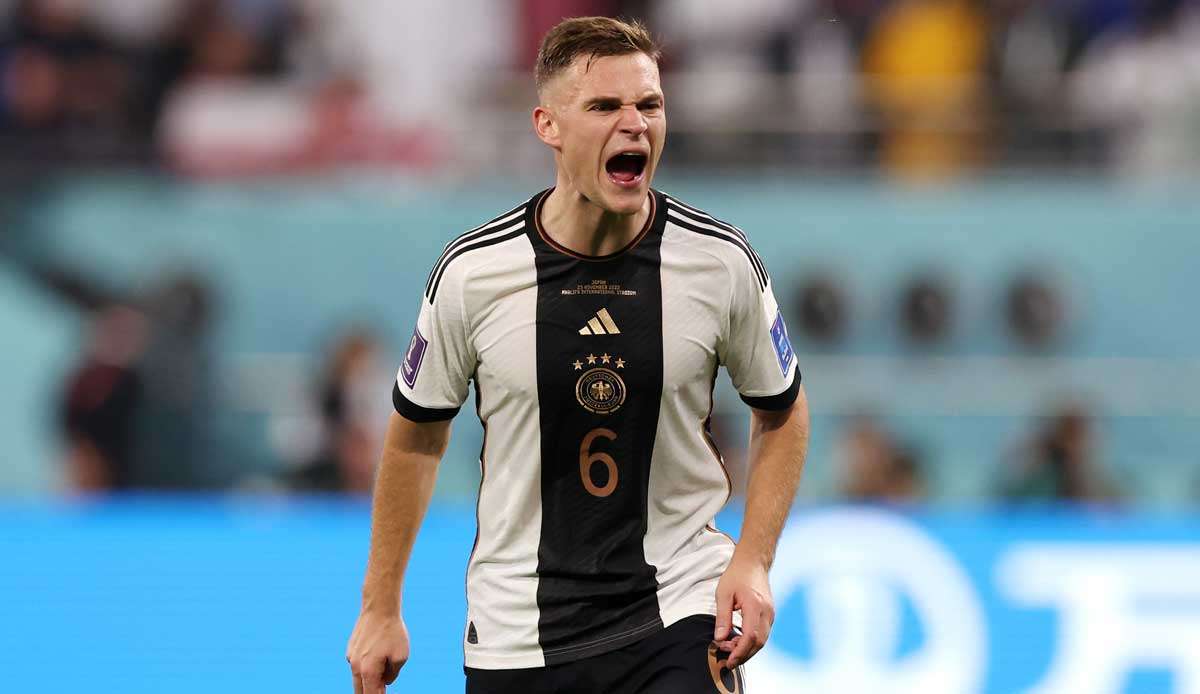 Das DFB-Team kriegt es in der WM-Vorrunde mit Japan, Spanien und Costa Rica zu tun.