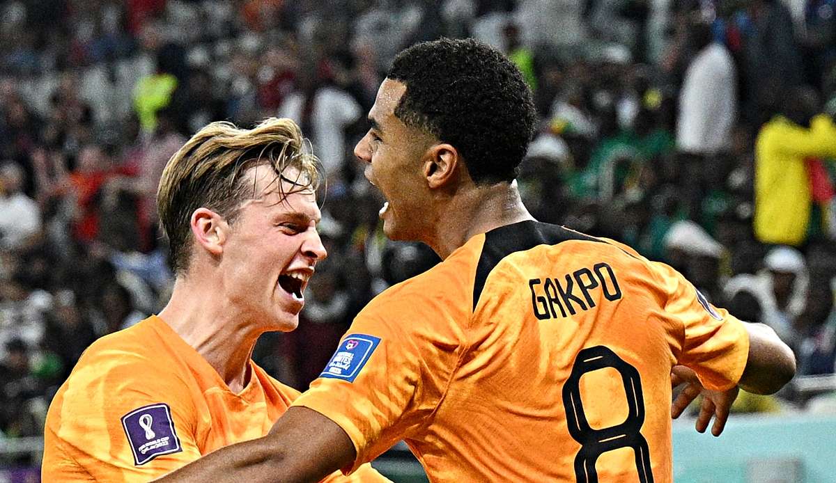 Cody Gakpo feiert seinen frühen Führungstreffer gegen Ecuador mit Holland-Kollege Frenkie de Jong.