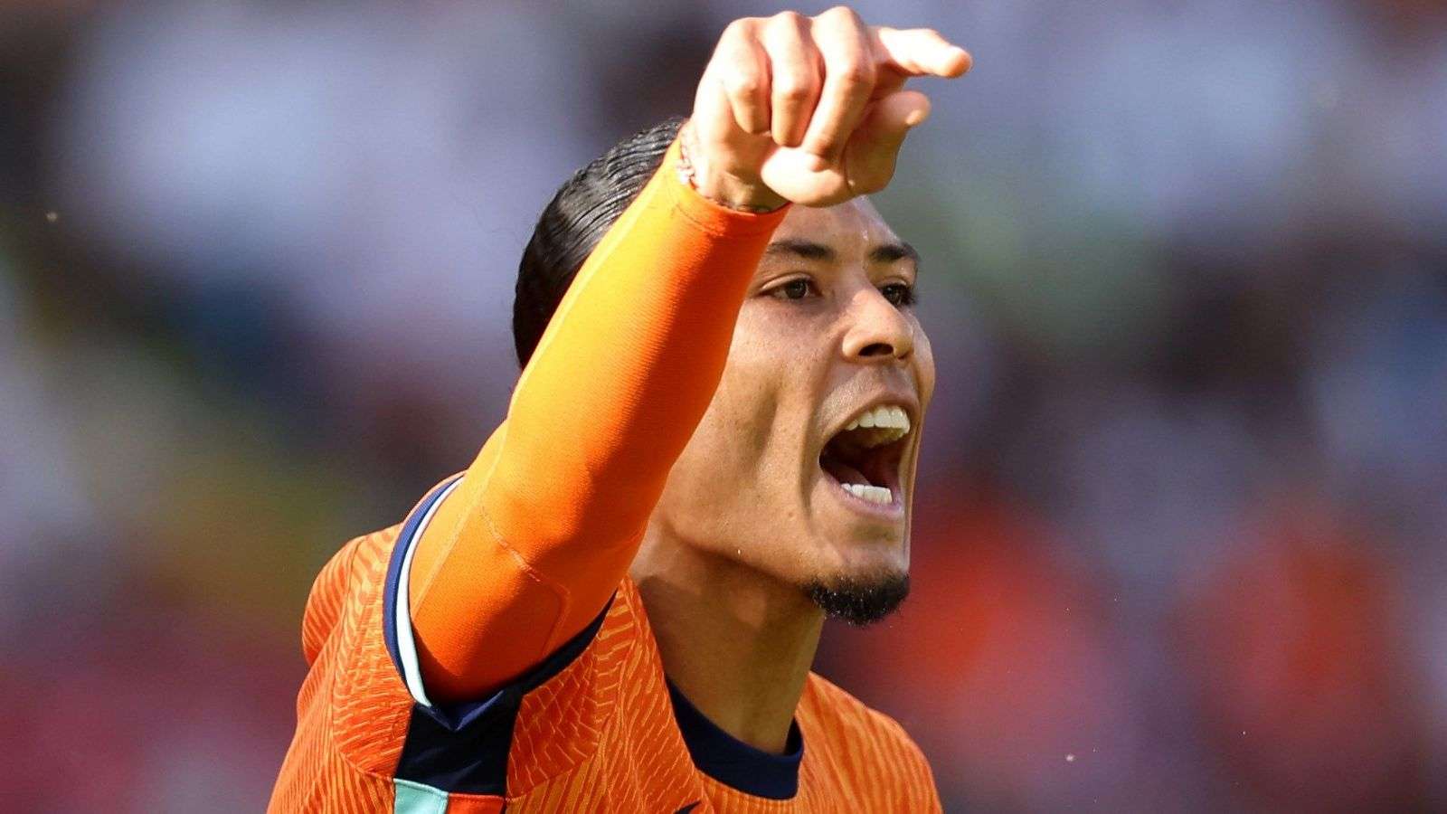 Virgil van Dijk Netherlands Euro 2024