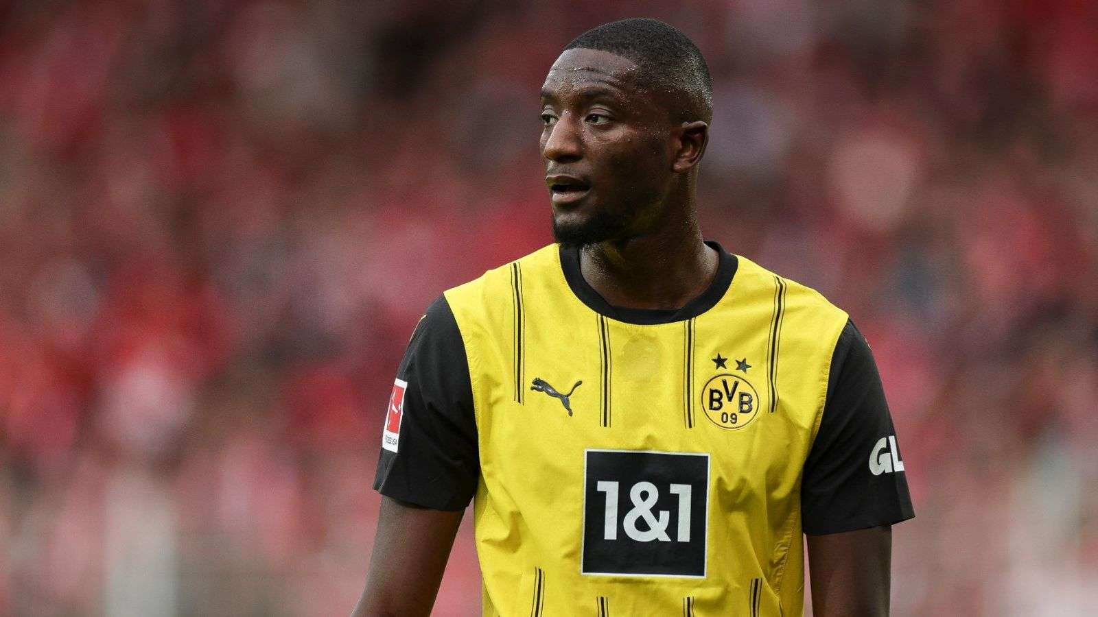 Serhou Guirassy Dortmund 2024