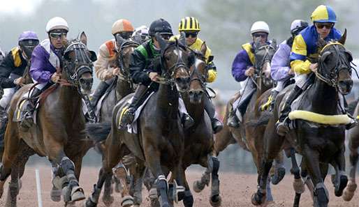 Alle Augen sind heute auf das Hippodrom Bordeaux du Bouscat gerichtet