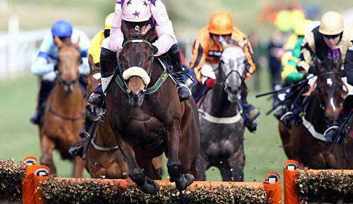 Das Grand National Festival 2011 wird seit Wochen von den Fans sehnlich erwartet