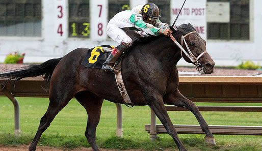 Trojan Monkey ist der Star von Farmington | SPOX