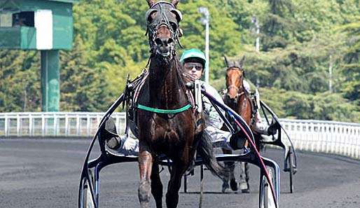 Beim Prix d'Enghien sind eine ganze Menge gutklassiger Pferde am Start 