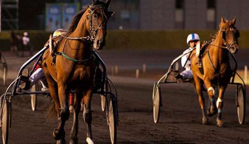 An vierter Stelle im Grand Prix du Champagne de Castelnau stehen die besseren Gewinnkategorien