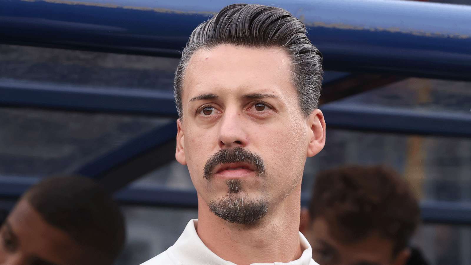 Sandro Wagner