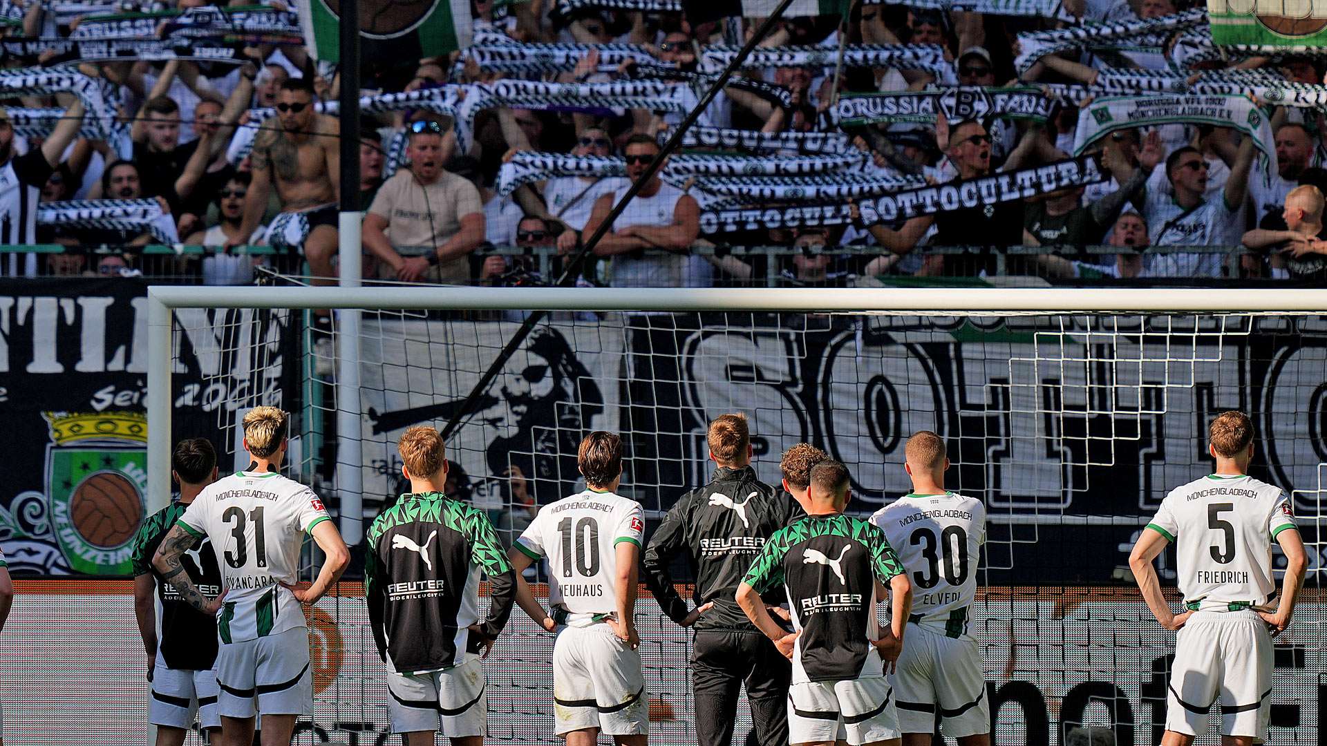 borussia mönchengladbach fans