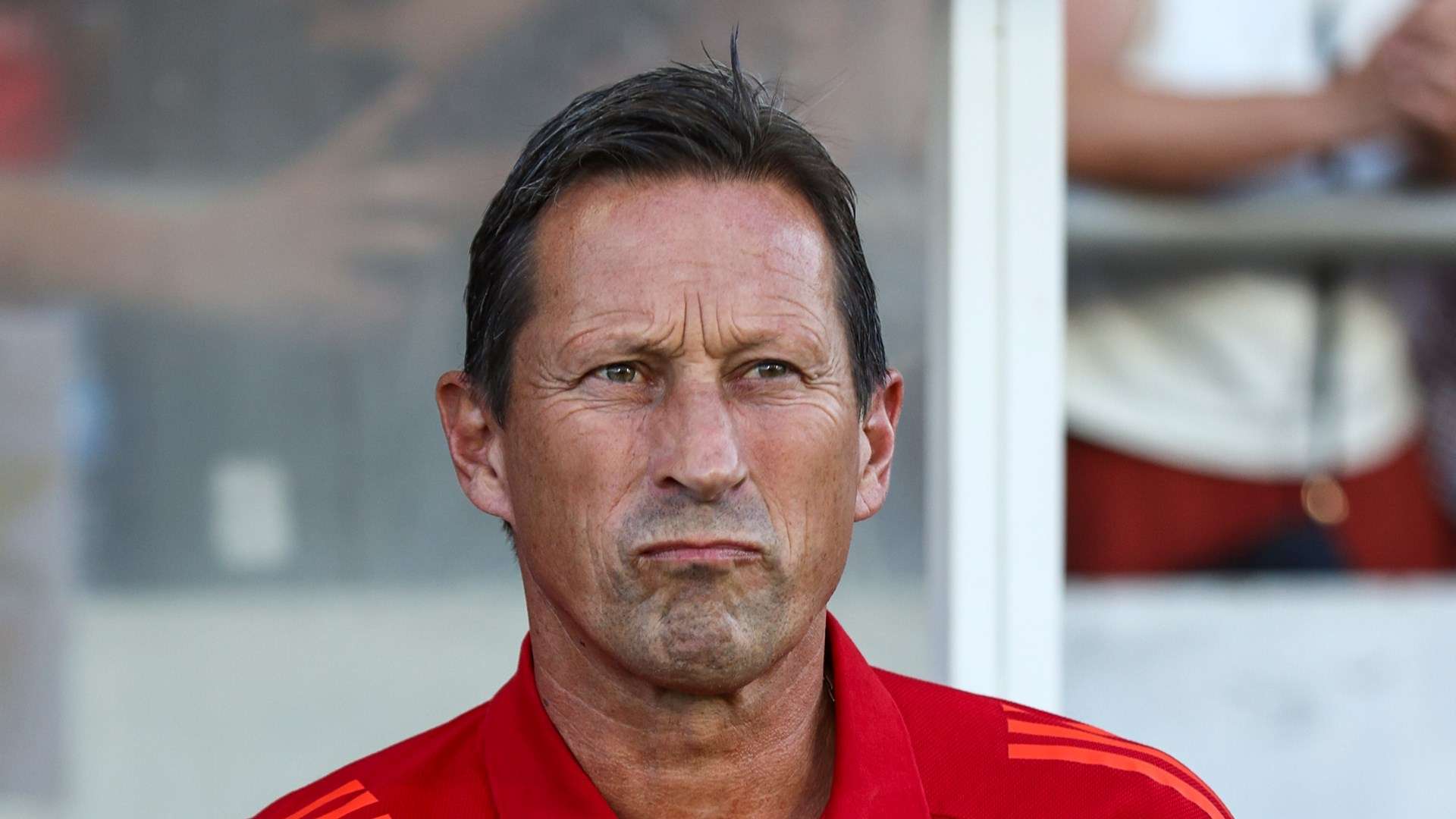 Roger Schmidt Benfica 2024