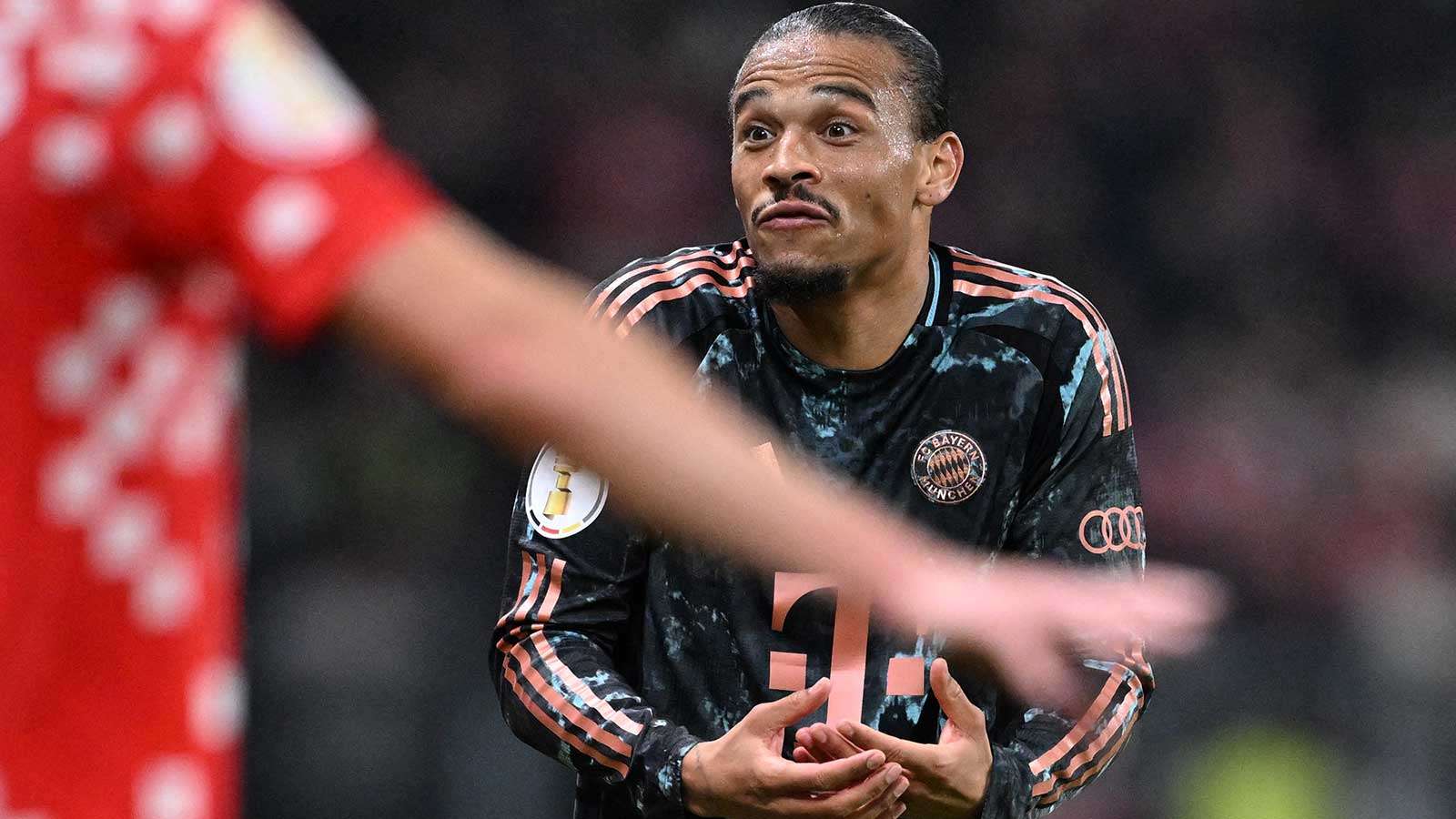 Sane