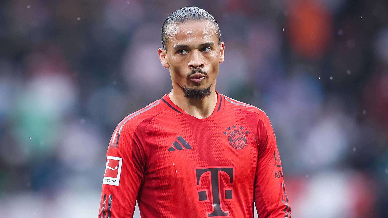 Sane