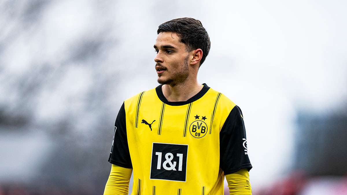 BVB II