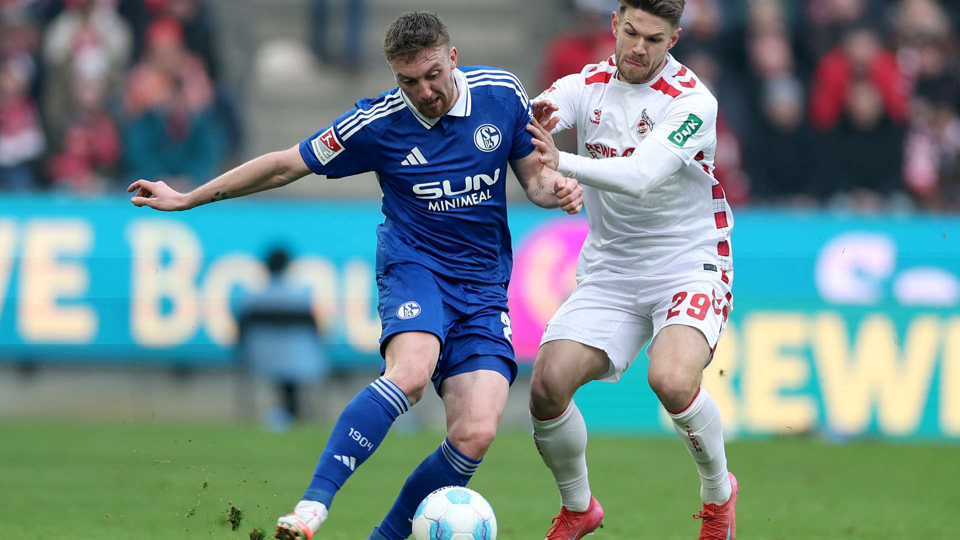 Schalke 04 vs 1. FC Köln