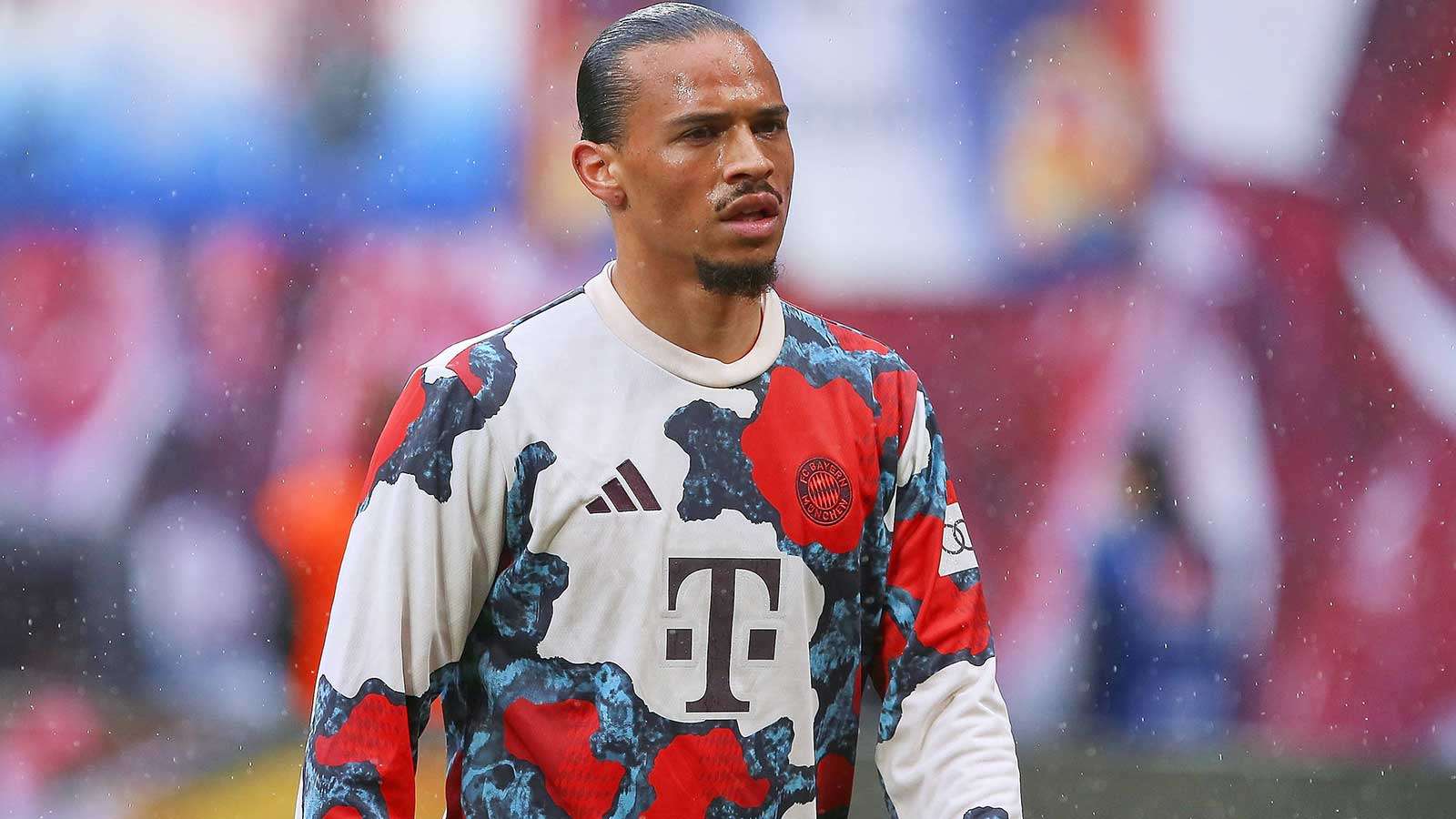 Sane