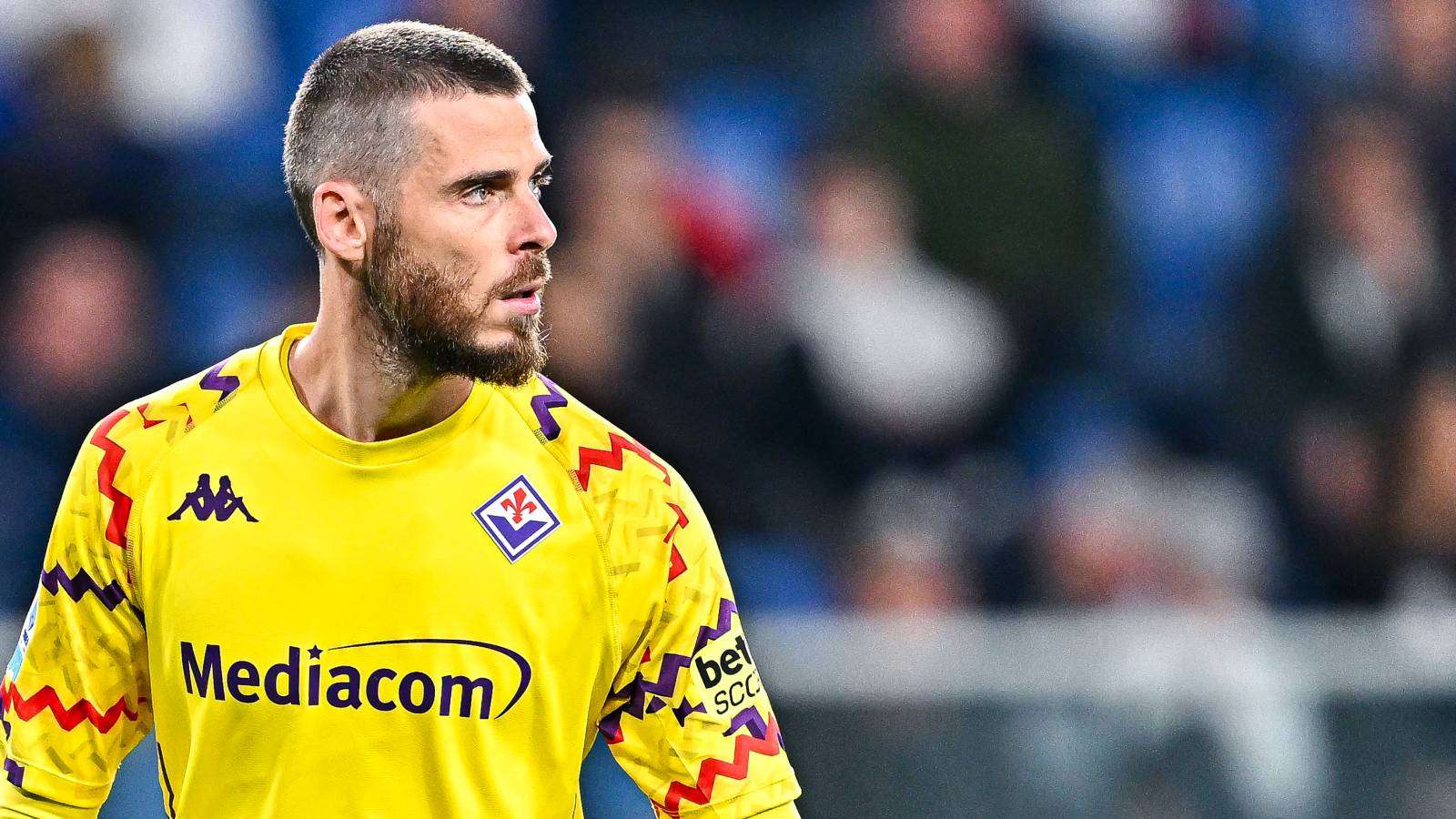 David de Gea Fiorentina 2024