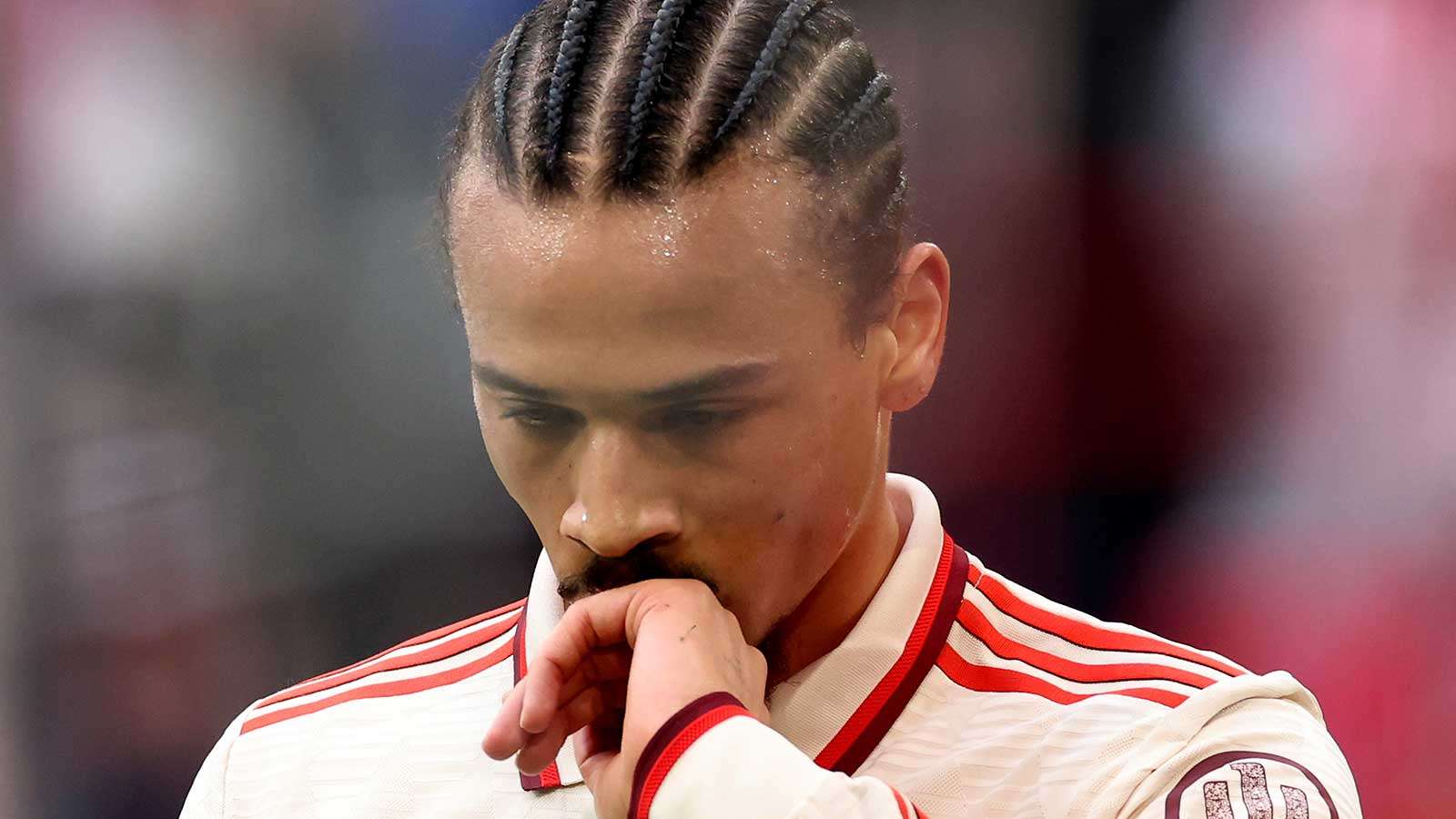 Sane