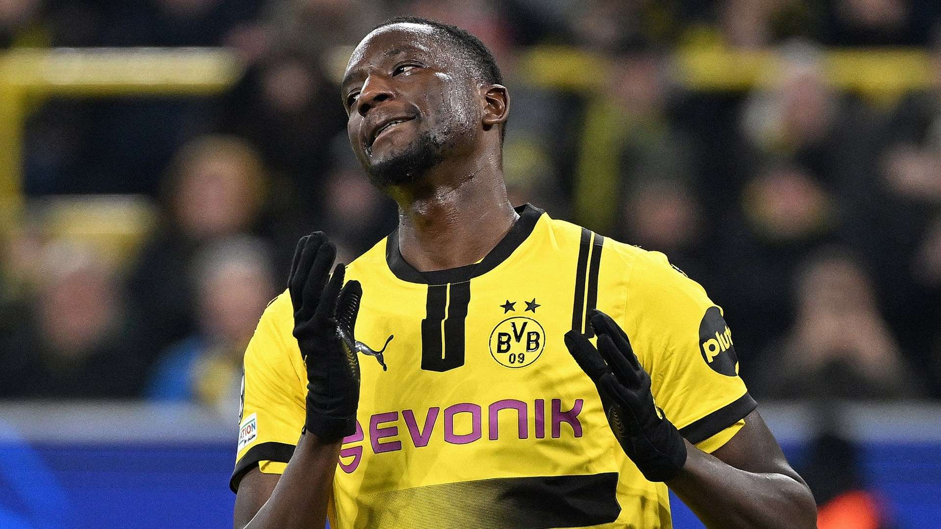 Serhou Guirassy Borussia Dortmund 2025