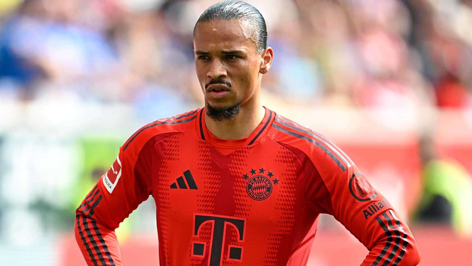Sane