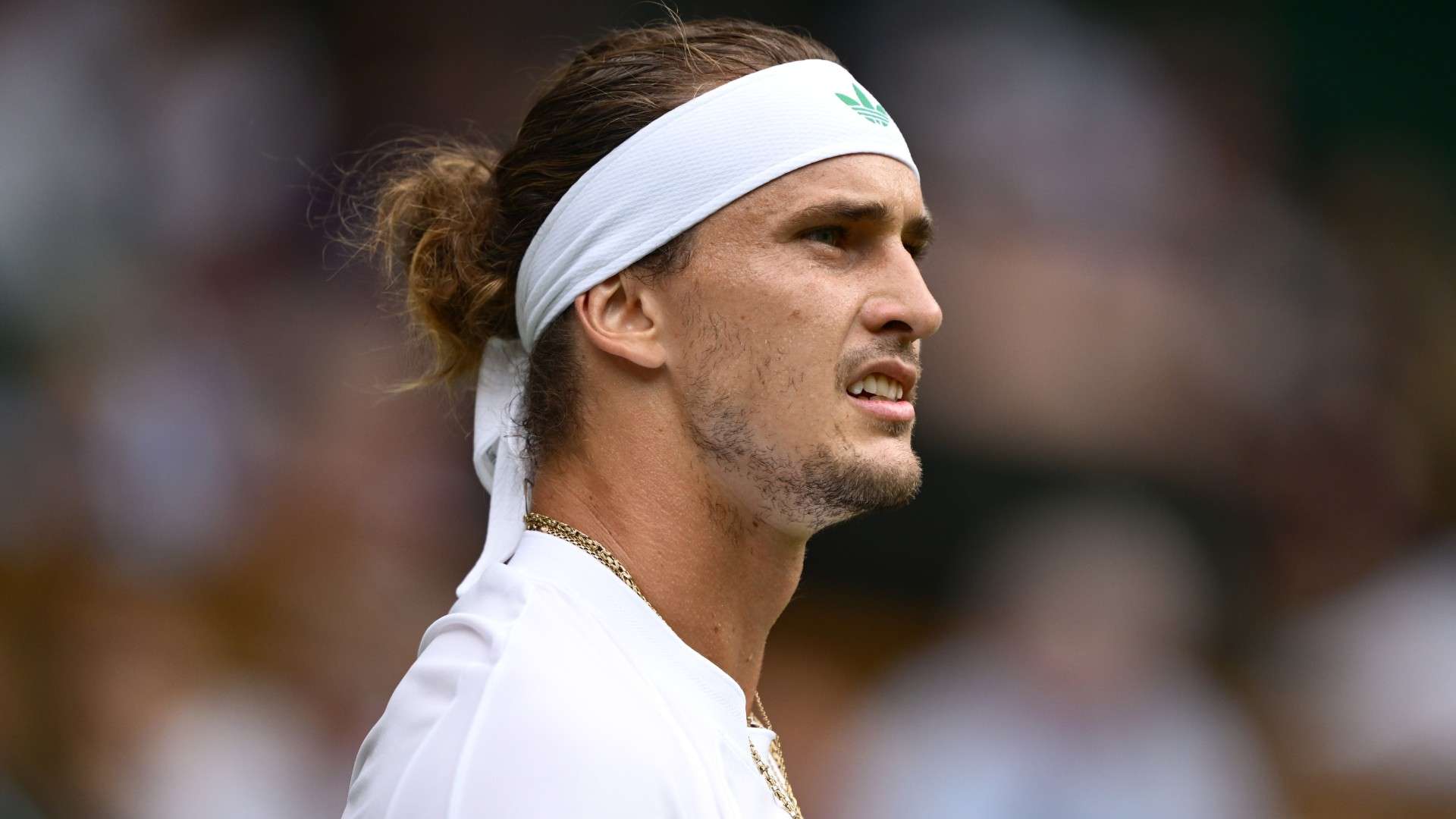 ALEXANDER ZVEREV
