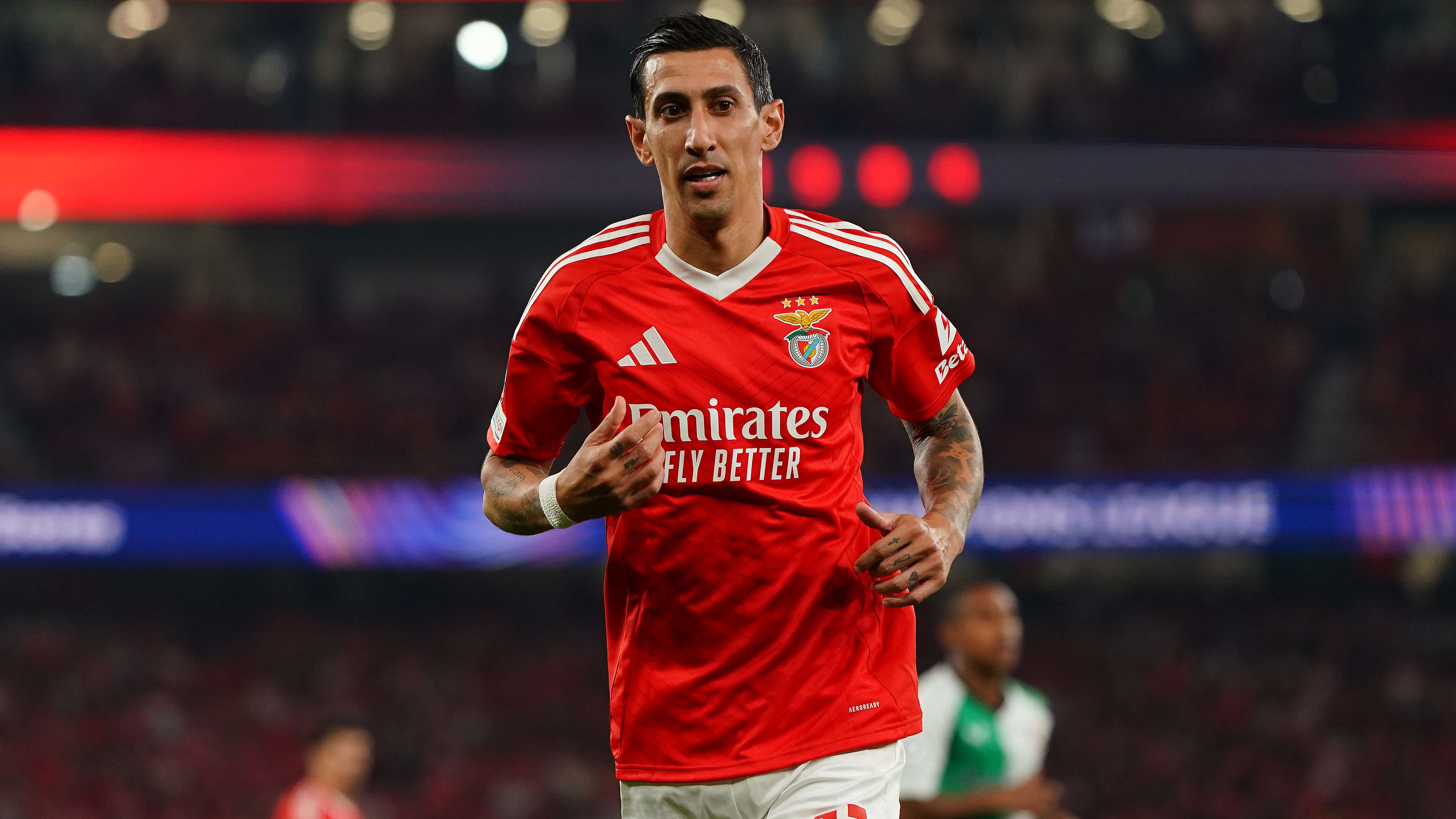 SL Benfica v Feyenoord - UEFA Champions League 2024/25 League Phase MD3