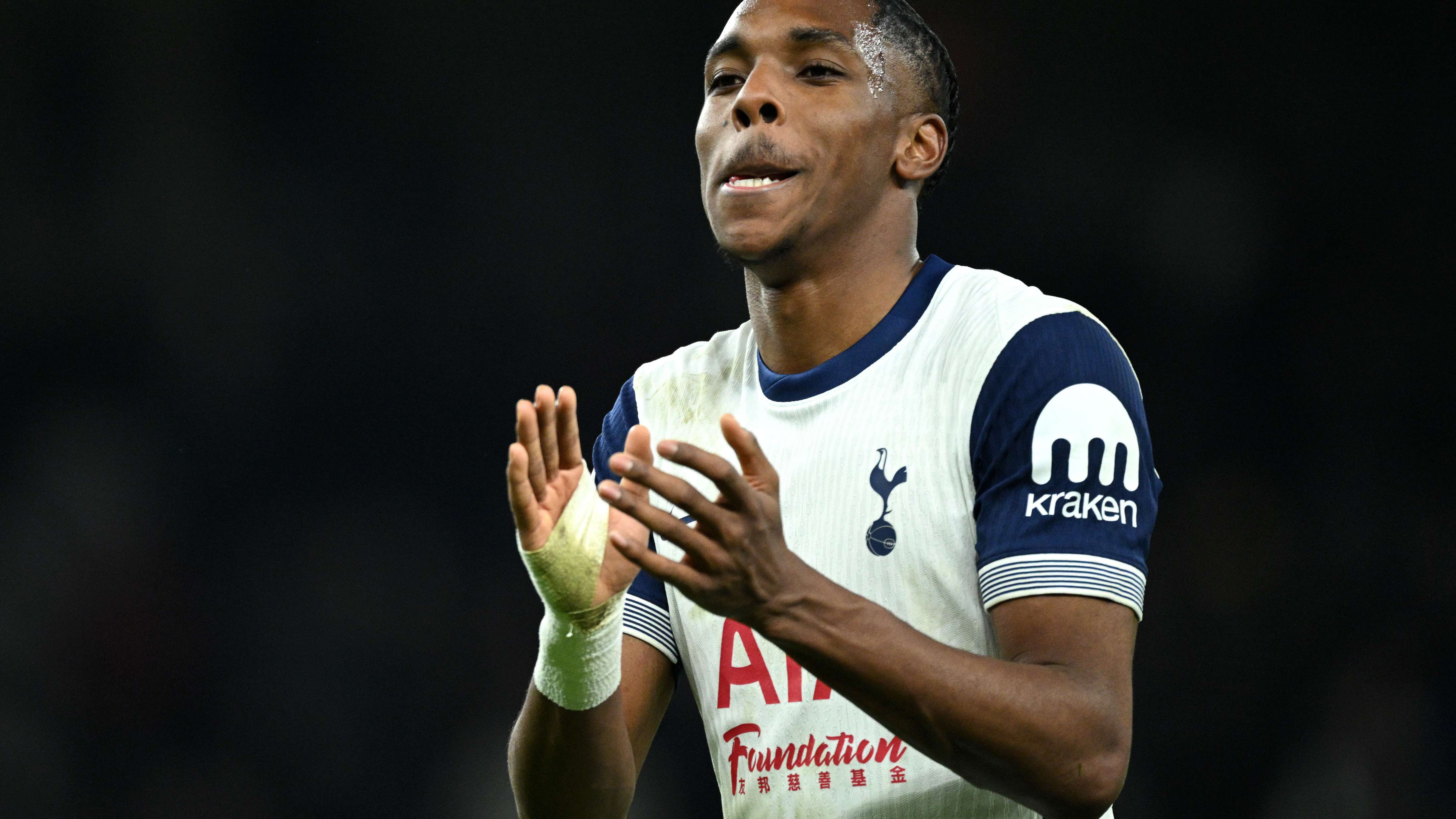 Tottenham Hotspur FC v Manchester United FC - Premier League