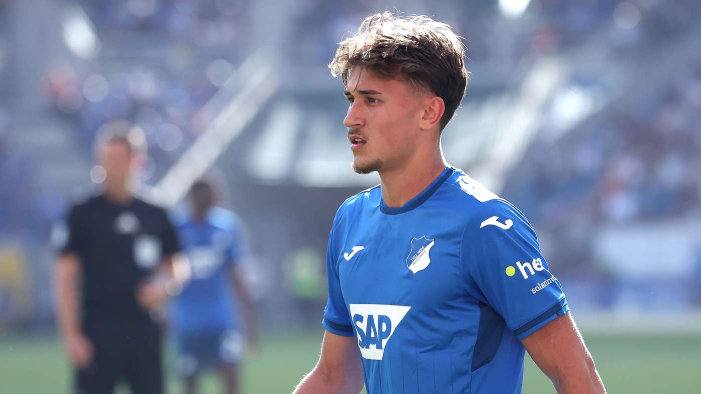 TSG 1899 Hoffenheim v 1. FSV Mainz 05 - Bundesliga